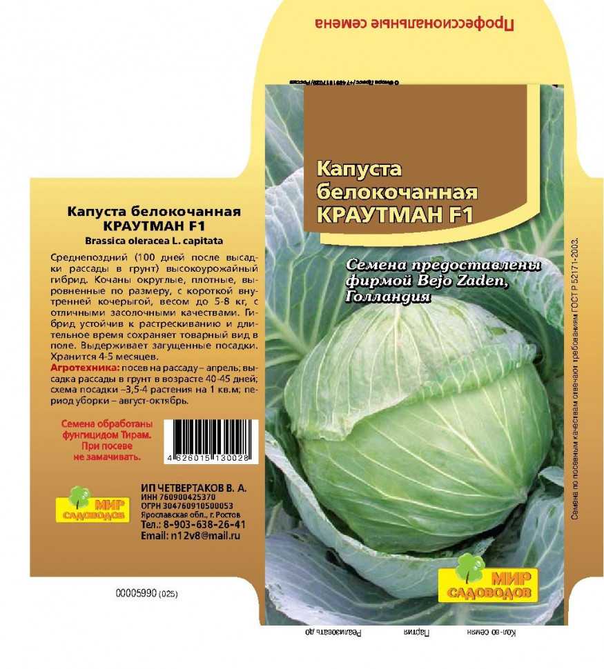 Лучшие сорта капусты