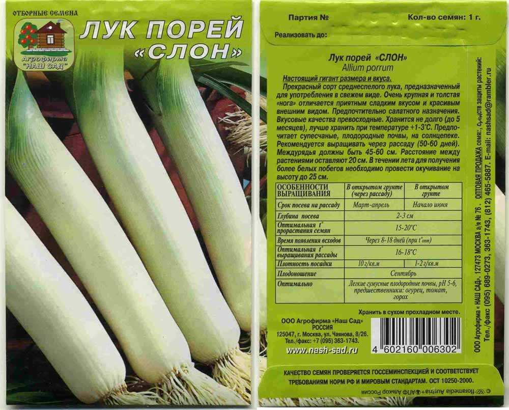 Популярные сорта лука порея: их выбор и описание