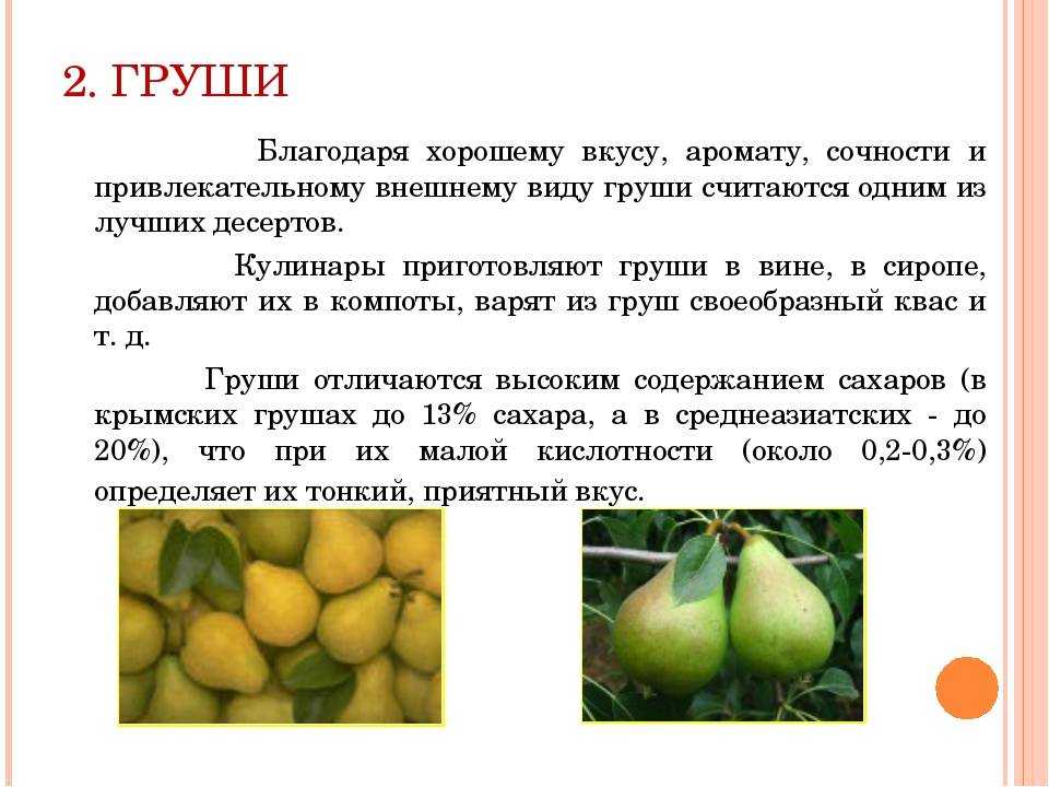 Характеристика груши сорта уссурийская