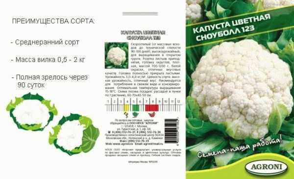 Рассада цветной капусты все для богатого урожая - наш частный дом