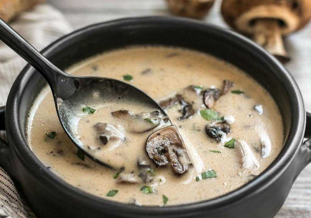Как сварить грибной суп из свежих грибов? самые вкусные рецепты