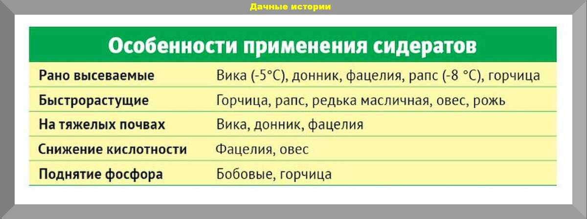 Какие сидераты сеять осенью? посадка сидератов под зиму — ботаничка