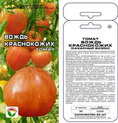 Томат сахарный бизон (вождь краснокожих): характеристика и описание сорта, урожайность с фото