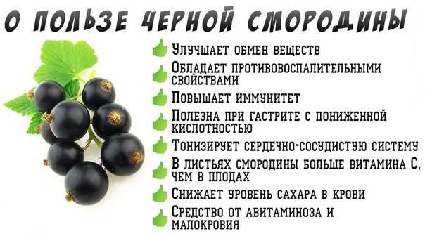 Вкуснейшие рецепты компота из замороженных ягод в кастрюле