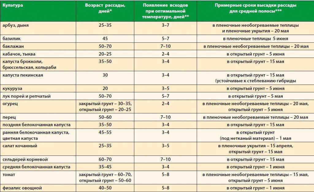 Как ухаживать за помидорами – полив, подкормки, удобрения, пасынкование