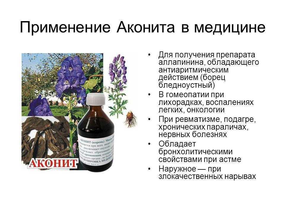 Аконит, или борец