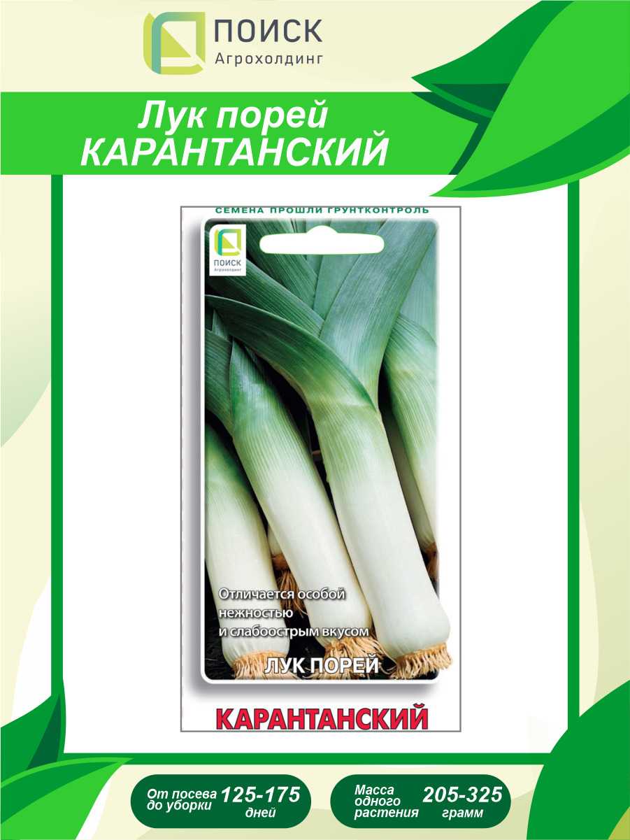 Лук порей карантанский отзывы - обзортека