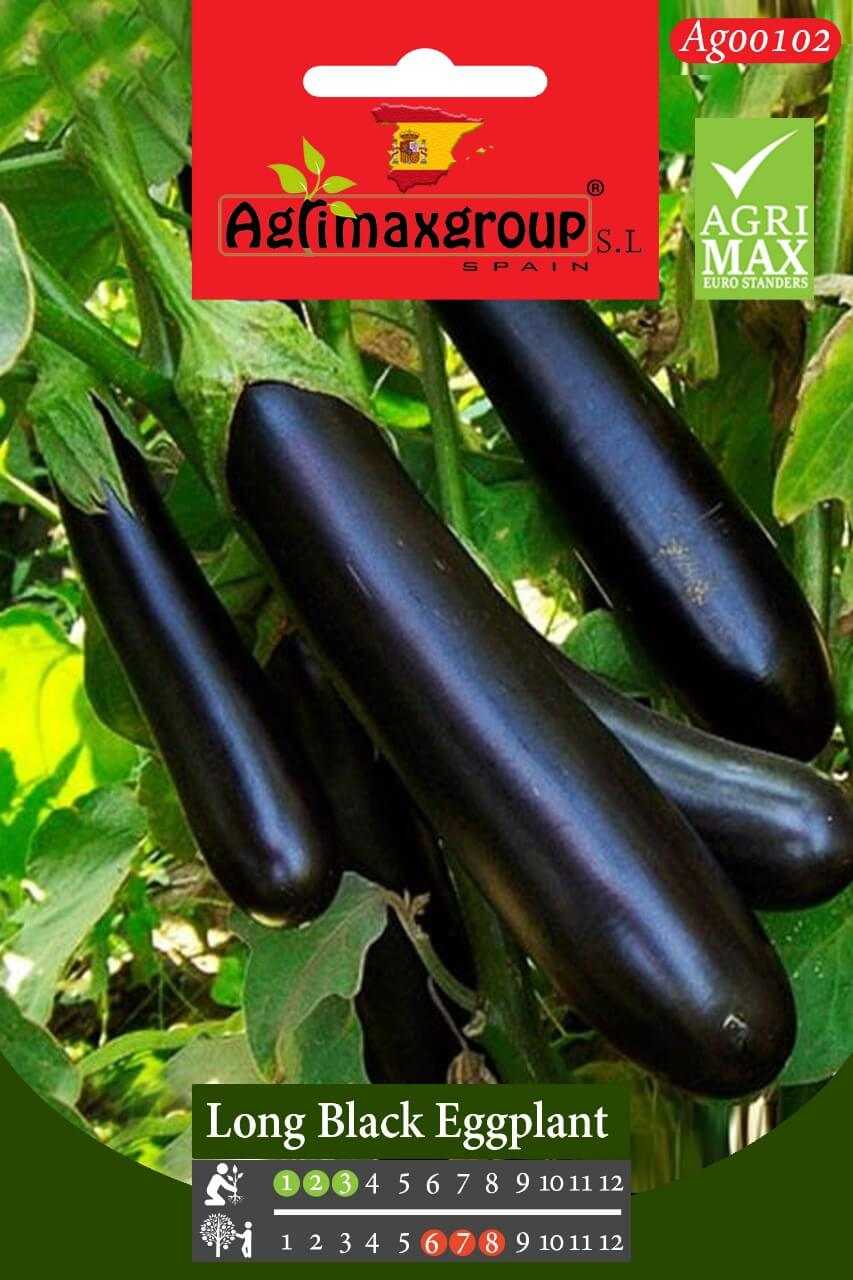 Баклажан халиф