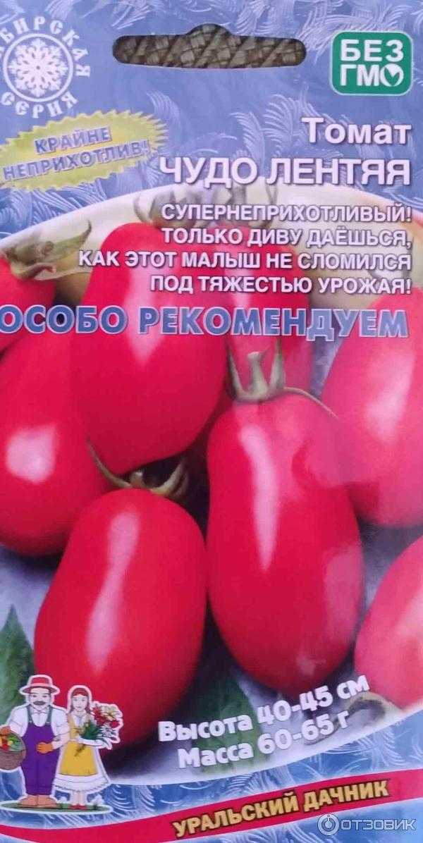 Описание томата чудо лентяя и выращивание рассады