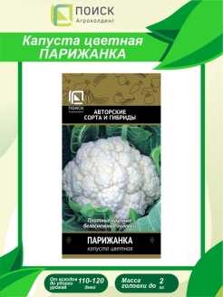 Капуста цветная дачница: характеристика и правила выращивания сорта