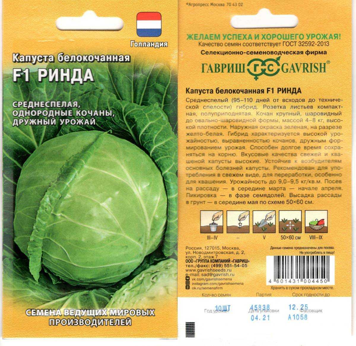 Капуста "ринда": описание сорта, фото, отзывы