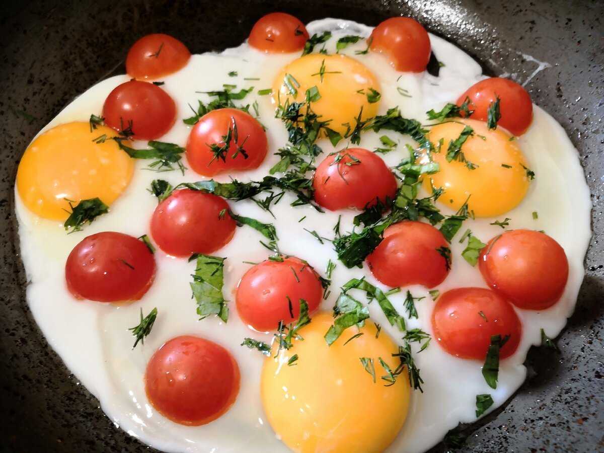 20 вкуснейших рецептов яичницы с помидорами