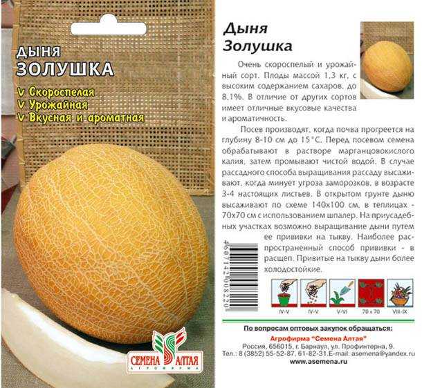 Вьетнамская дыня: описание и характеристики, сорта с фото, выращивание, отзывы