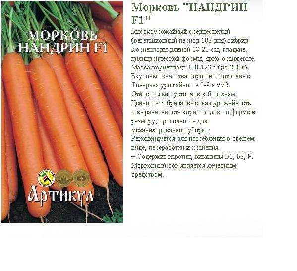 О моркови Нандрин F1 отзывы описание сорта фото характеристика корнеплодов достоинства и недостатки особенности выращивания