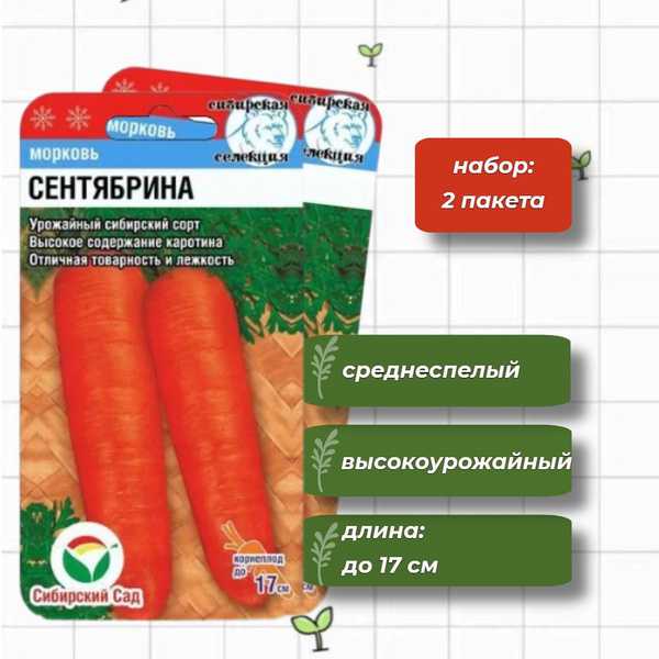 Скороспелые сорта моркови: 25 лучших с описанием и характеристиками + фото