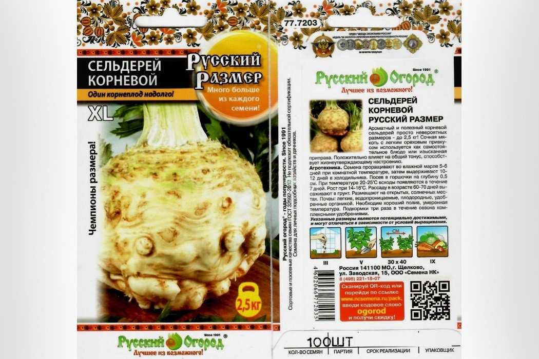 Сельдерей корневой: как провести посадку и обеспечить уход, чтобы был крупный, лучшие сорта диамант и другие, посев, выращивание в открытом грунте, к примеру на даче