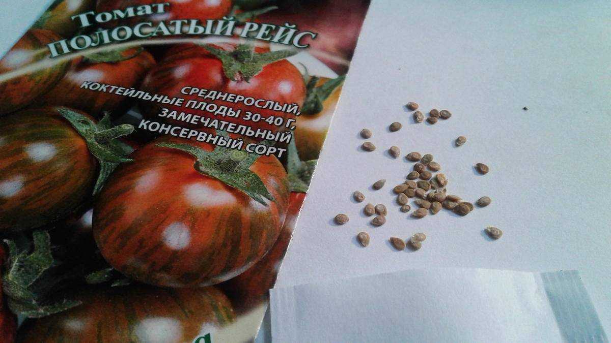 Томат полосатый рейс: характеристика и описание среднерослого сорта с фото