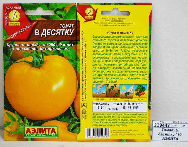 Лучшие сорта томатов на 2024 год: самые вкусные и урожайные