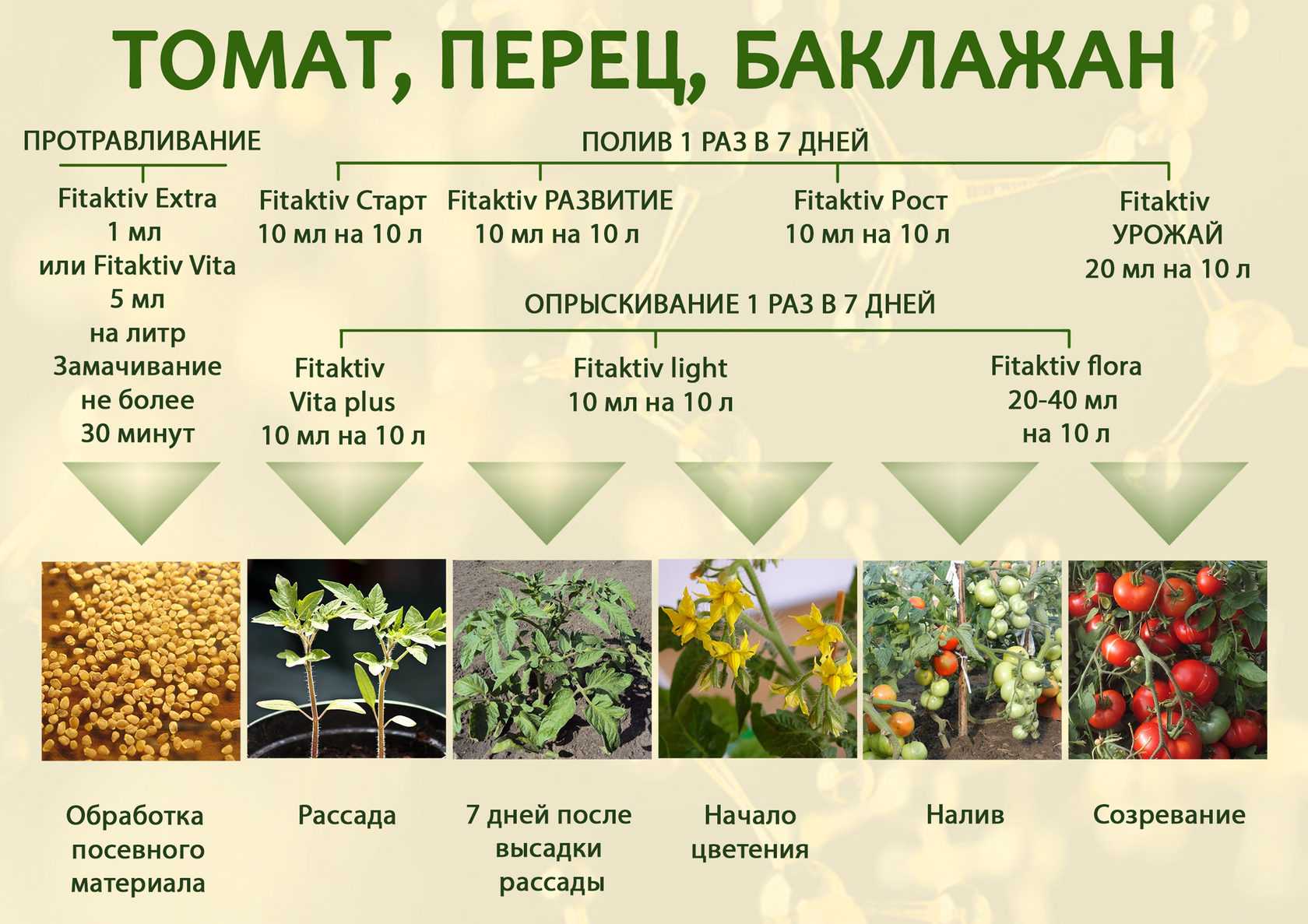 Томат "стреза": описание и характеристики гибридного сорта помидор русский фермер
