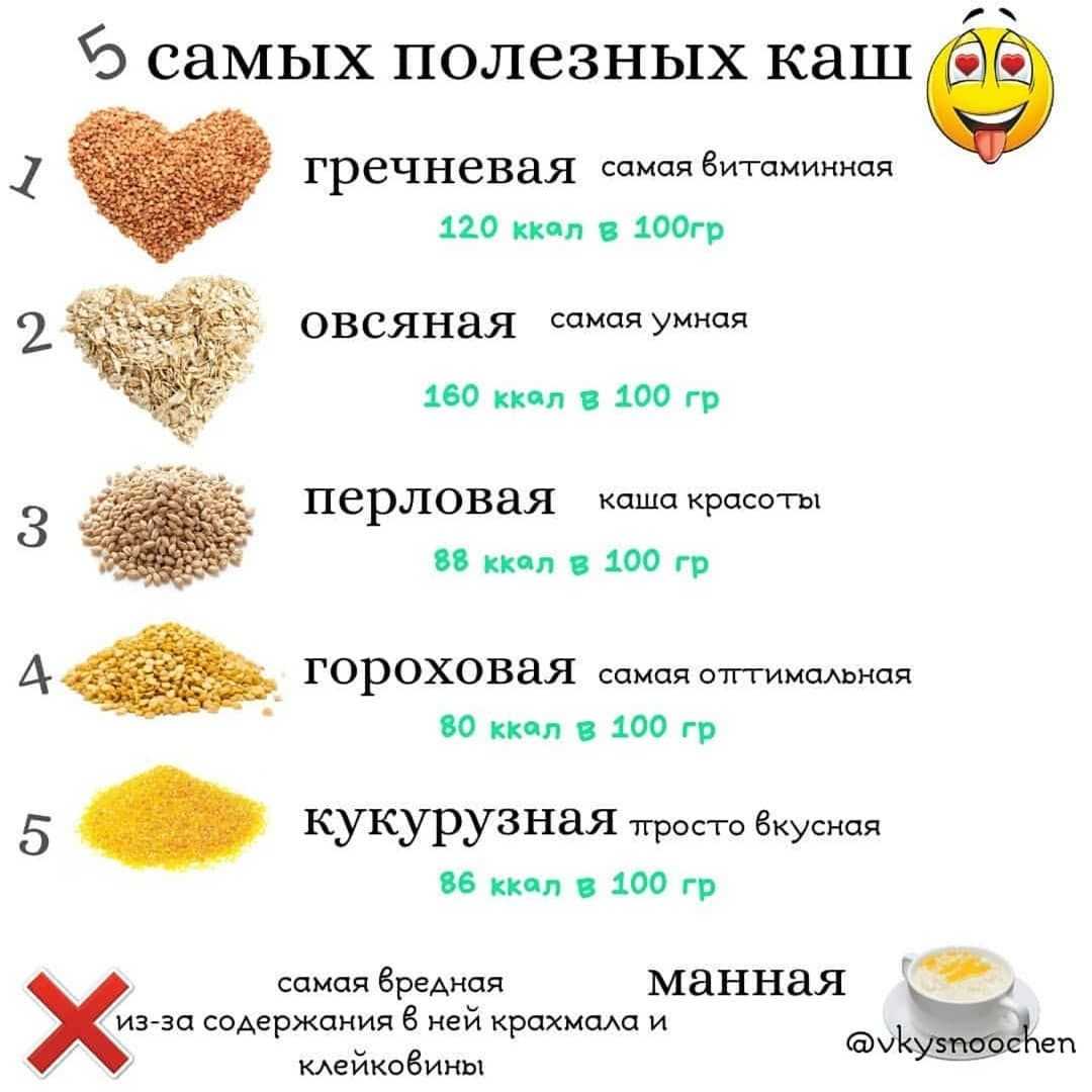 Пшеничная каша для всей семьи; - польза и простые рецепты