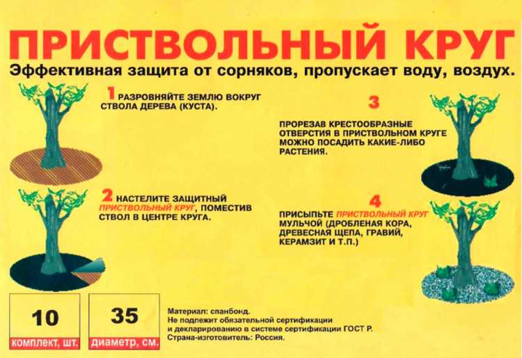 Перекапывать ли приствольный круг вокруг деревьев