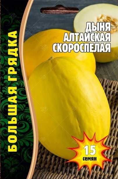 Сорта дыни для выращивания в открытом грунте сибири