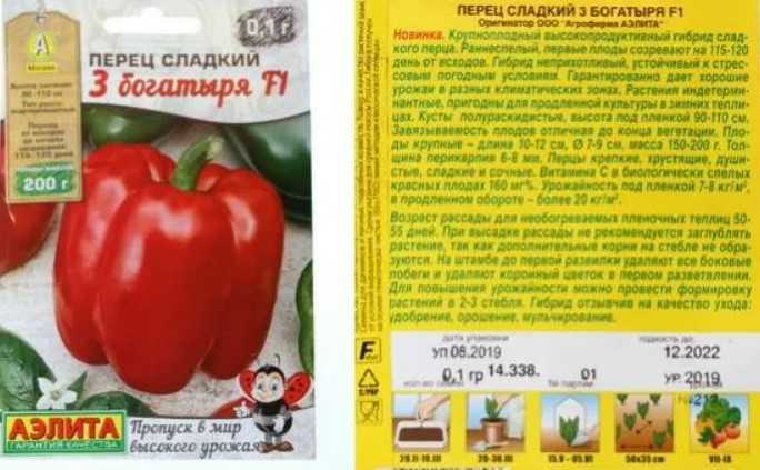 Перец богатырь: описание и характеристика, фото и отзывы, достоинства и недостатки, выращивание и уход