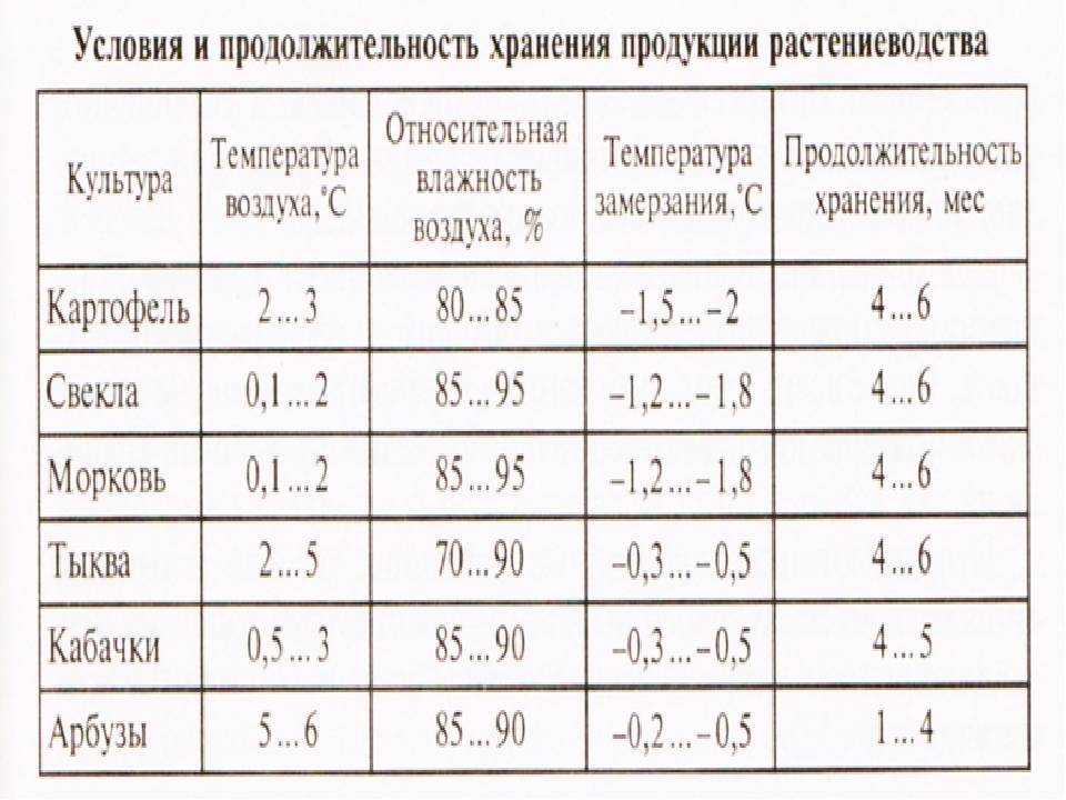 Когда выкапывать картошку на хранение: убираем урожай вовремя и правильно