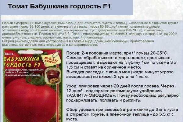 Томат мулен руж f1: характеристика и описание гибридного сорта с фото