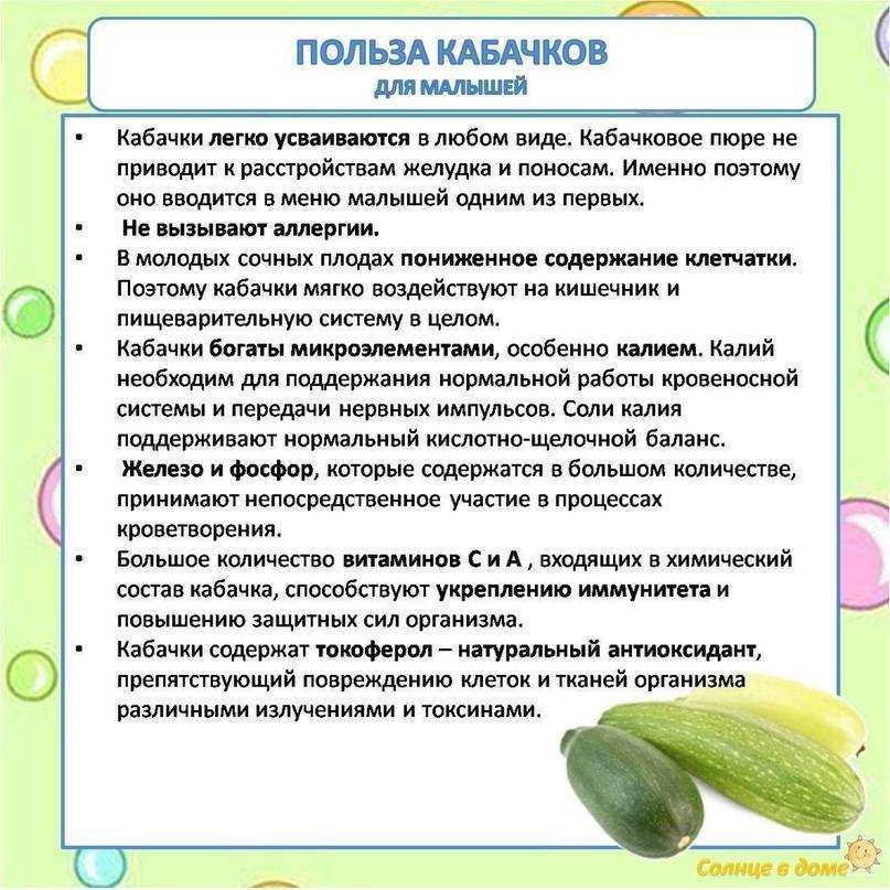 Ни для кого не секрет что кабачок очень полезный недорогой овощ который нужно употреблять в пищу людям имеющим проблемы с желудочно кишечным трактом