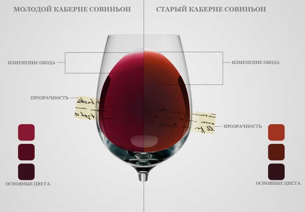 Честный рейтинг хорошего и недорого вина в сетевых магазинах