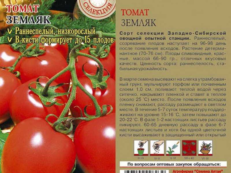 Зимние сорта томатов, которые у меня сохранились в свежем виде до весны