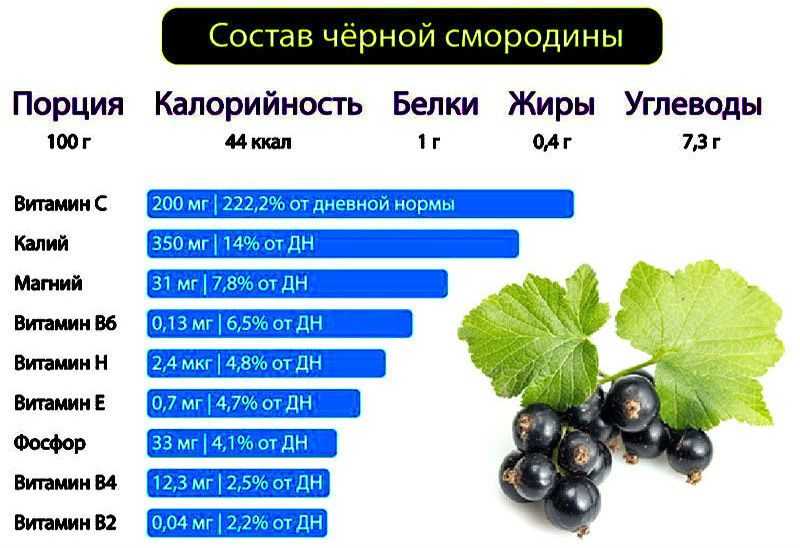 Настоящий кладезь витамина С компот из черной смородины Такую ягоду для создания напитков или блюд десертов можно приобрести в сезон ее сбора на рынке или в