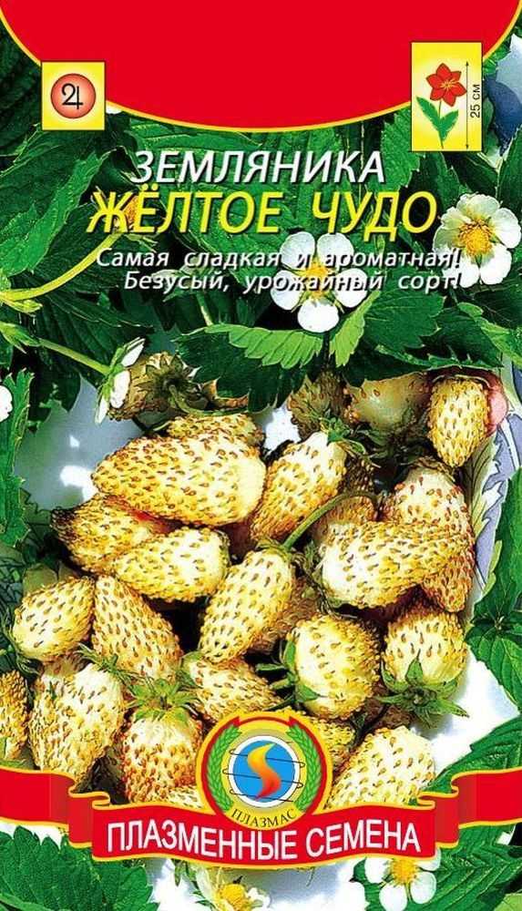 Земляника - земляничная поляна твоего детства