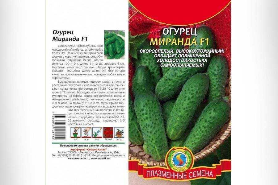 Огурец маринда f1: описание сорта и характеристики, выращивание и уход с фото