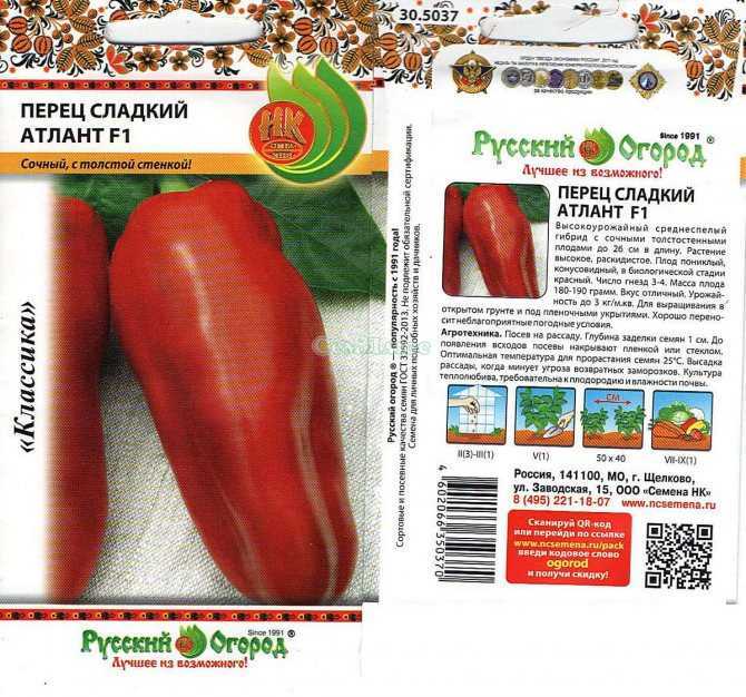 Перец "атлант": описание сорта, фото, отзывы
