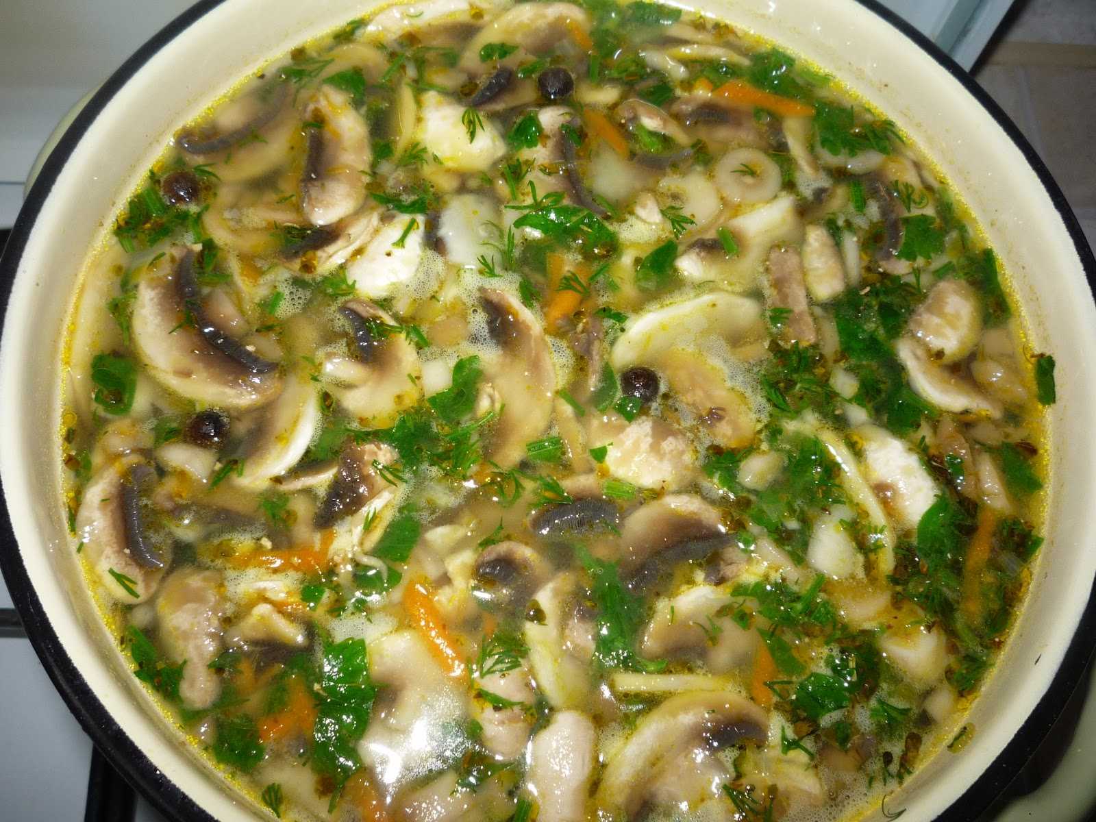 Как сварить грибной суп из свежих грибов? самые вкусные рецепты