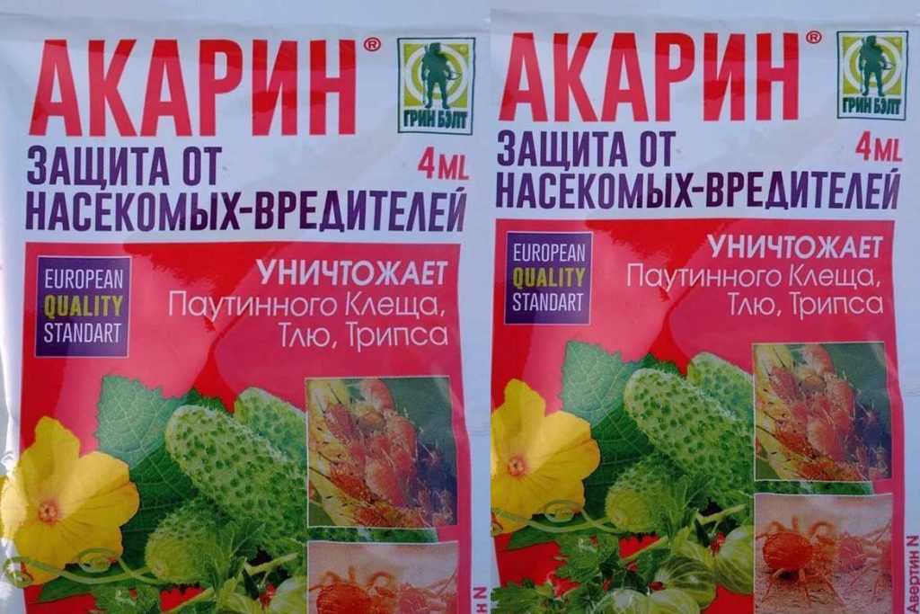 👍лучшие средства от паутинного клеща на 2024 год