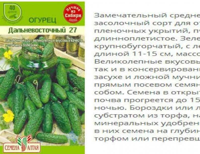 Сорта огурцов для сибири: особенности выращивания в теплицах и в открытом грунте
