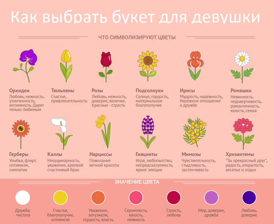Значение цветов орхидеи: что означает этот цветок, стоящий в доме и в подарок женщине, какой цвет что обозначает на языке цветов, история его происхождения