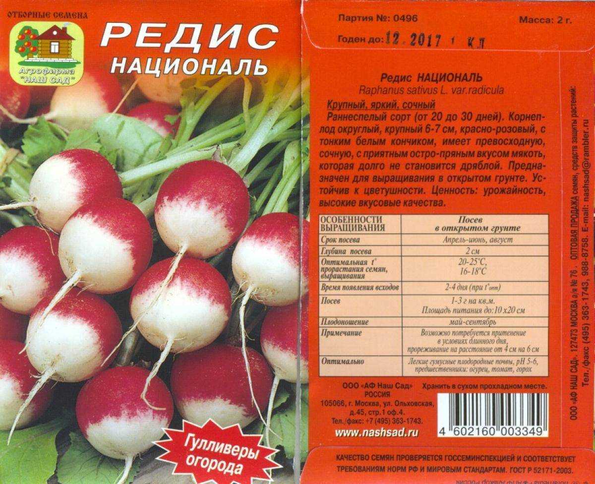 Редис красный великан: описание сорта, фото, отзывы, как и когда сажать, выращивание
