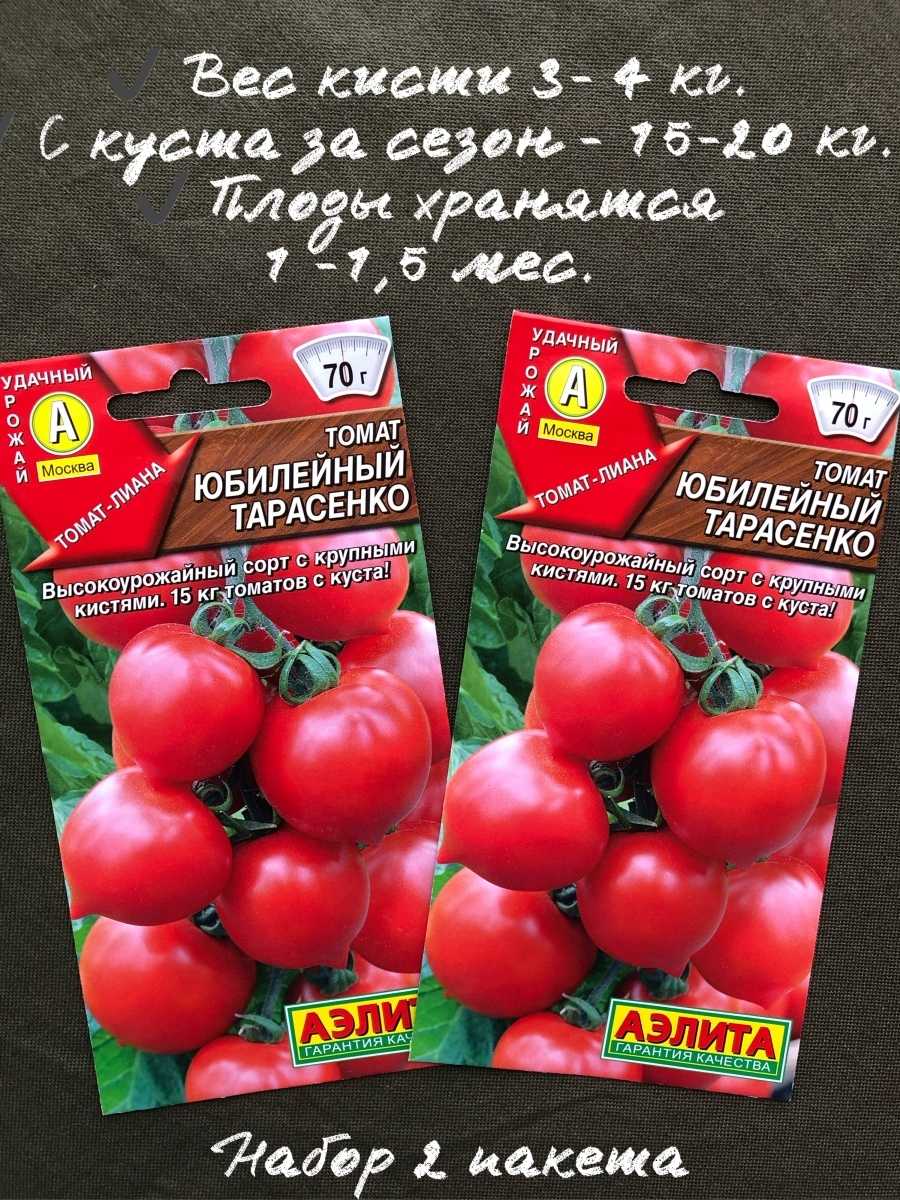 Томат цыган: характеристика и описание сорта, отзывы, фото, урожайность
