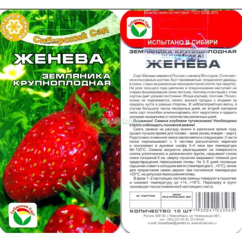 Лучшие сорта клубники на 2024 год: топ-32 самых урожайных и вкусных
