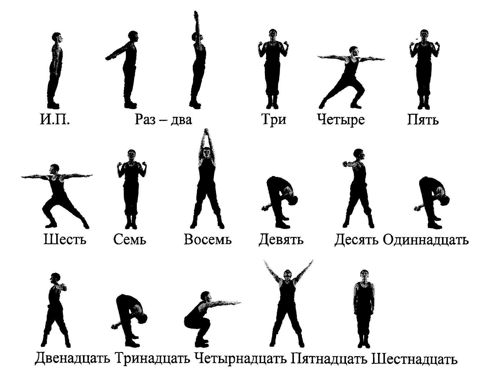 Комнатные цветы розового цвета (с фото)