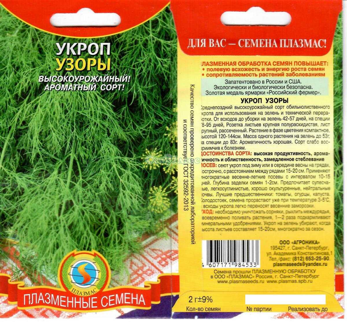 На какие сорта укропа стоит обратить свое внимание? / асиенда.ру