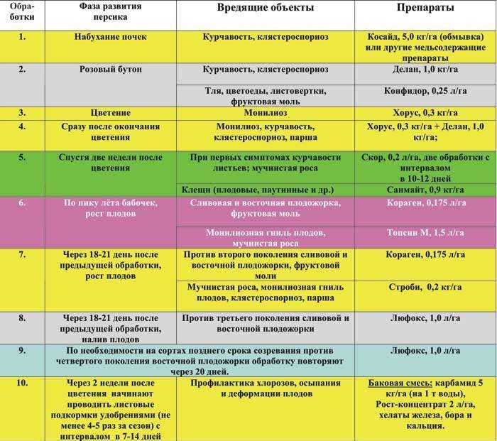 Календарь обработки сада от болезней и вредителей с ранней весны и до поздней осени
