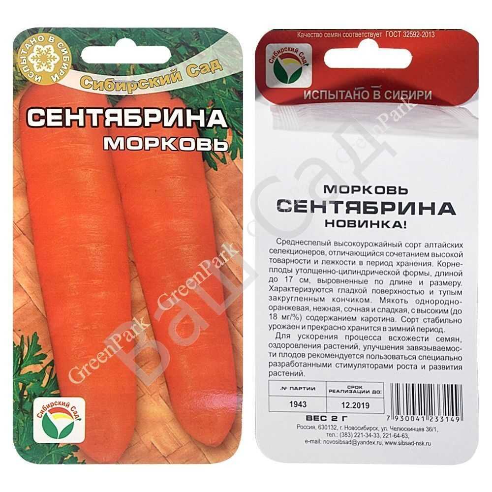 О моркови Сентябрина описание отзывы характеристика сорта фото корнеплодов достоинства и недостатки особенности выращивания