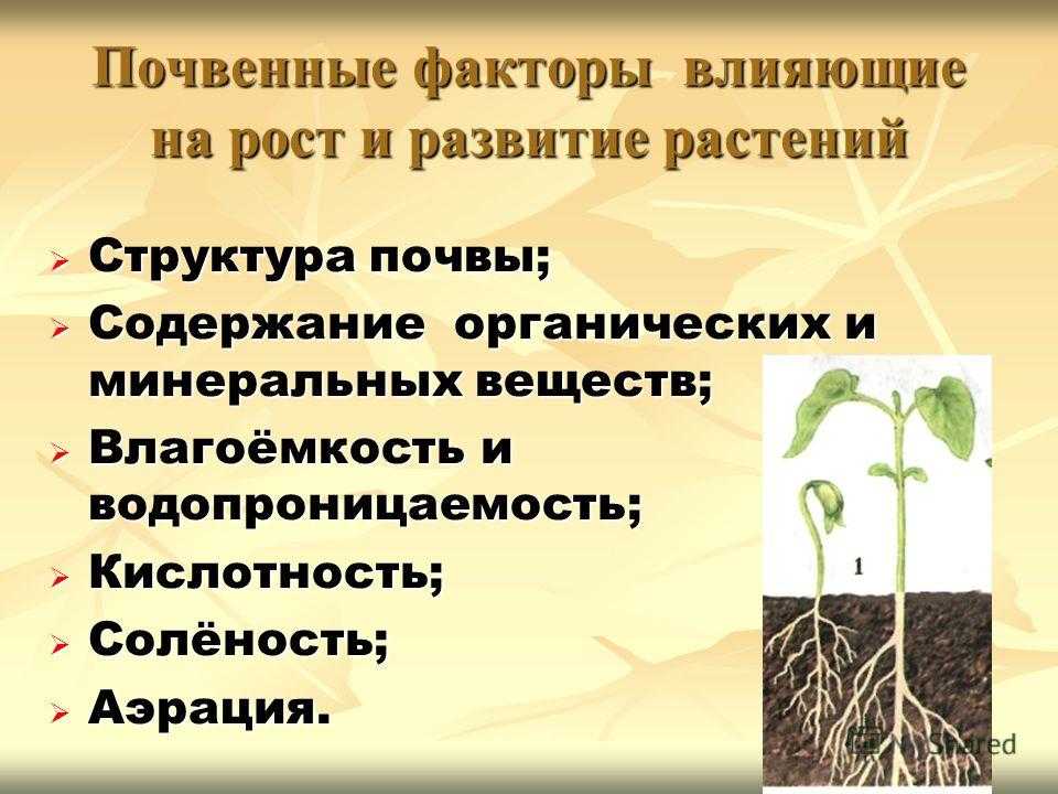 Зоны морозостойкости растений — какие бывают и зачем их знать? карта и таблица зон usda. фото — ботаничка