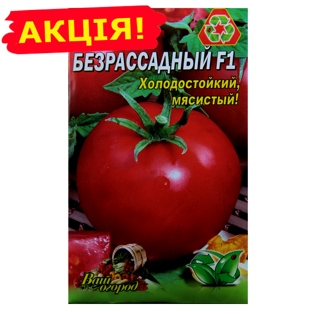 Томат безрассадный: описание и характеристики сортов, способ выращивания