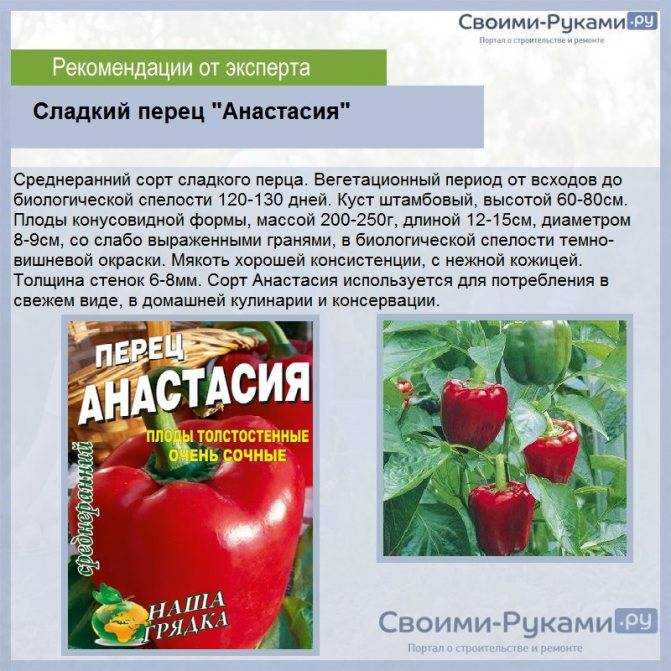 8 чудесных сортов сладкого перца – проверила и вам рекомендую!
